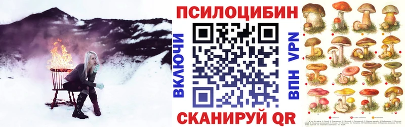 Купить где  Ермолино  Галлюциногенные грибы мухоморы 